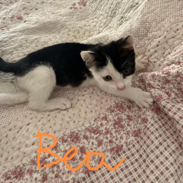 Bob e Bea  Foto 3
